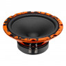 DL Audio Gryphon Pro 200 Midbass