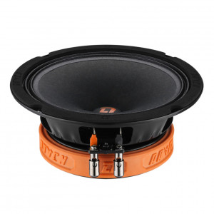 DL Audio Raven 165