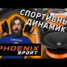 DL Audio Phoenix Sport 200 Видео