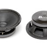 Pride Diamond 8" Pride Diamond 8"