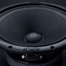 Apocalypse AP-M81SL