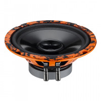 Эстрадная акустика DL Audio Gryphon Lite 165 V.2