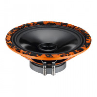 Эстрадная акустика DL Audio Gryphon Lite 200 V.2