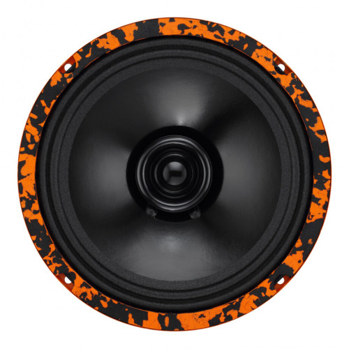 Эстрадная акустика DL Audio Gryphon Lite 200 V.2